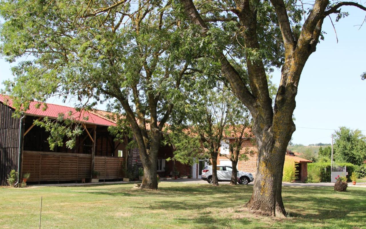 Ferme Aquinaut - Le Paradis Montesquieu-Volvestre Экстерьер фото