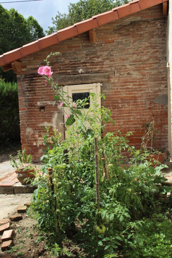 Ferme Aquinaut - Le Paradis Montesquieu-Volvestre Экстерьер фото