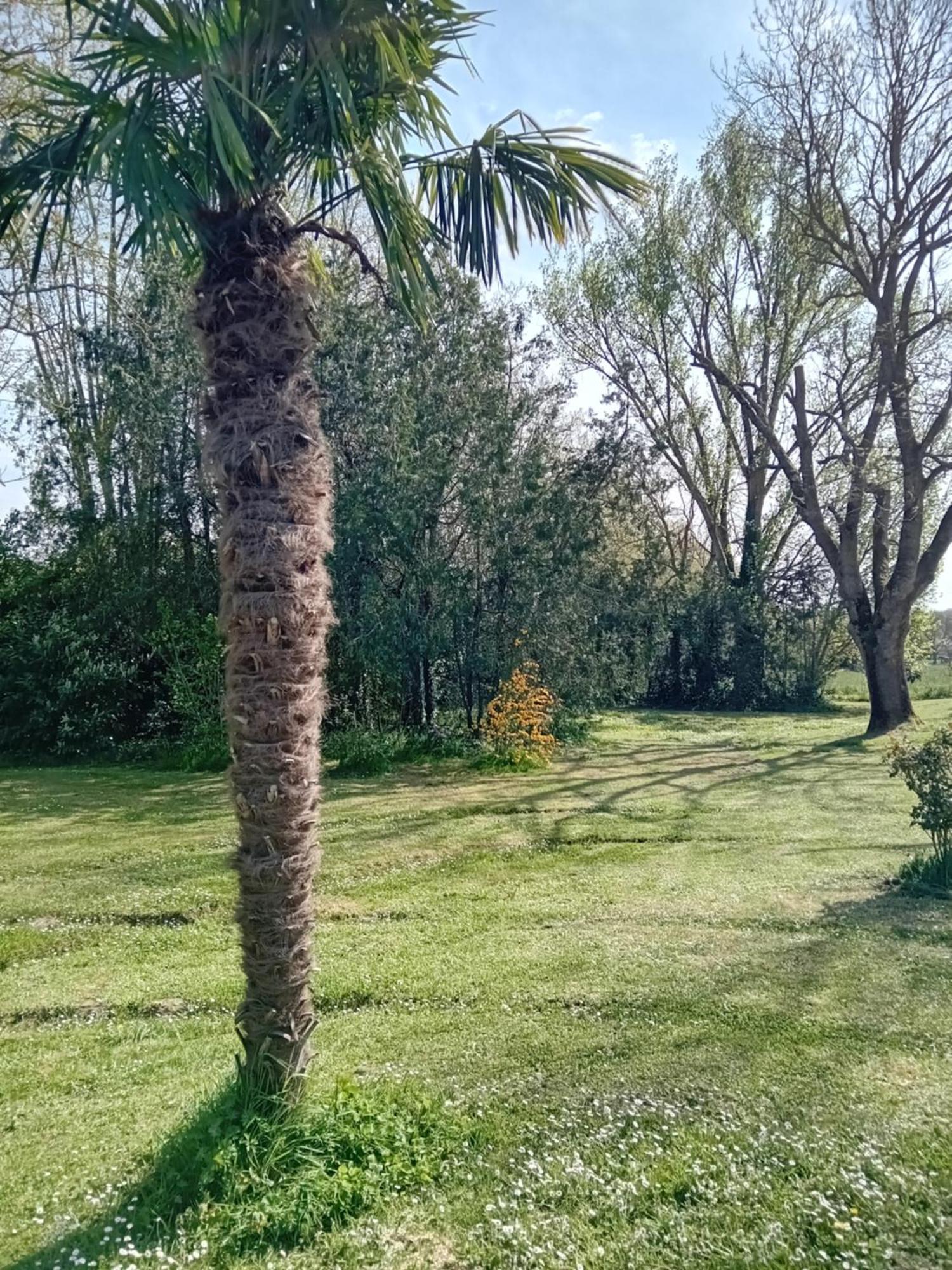 Ferme Aquinaut - Le Paradis Montesquieu-Volvestre Экстерьер фото
